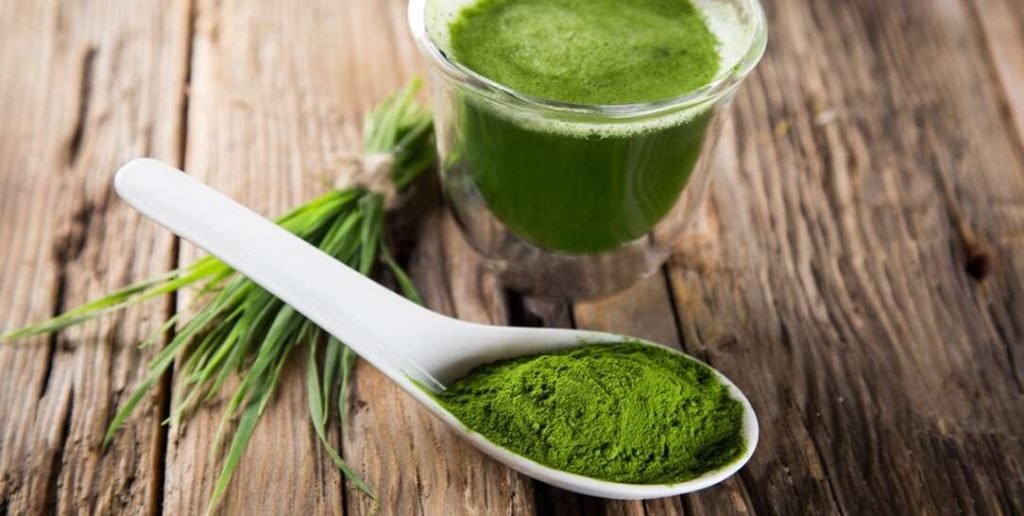Il cibo degli dei, l'alga spirulina per dimagrire
