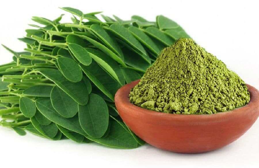 moringa come assumerla e proprietà