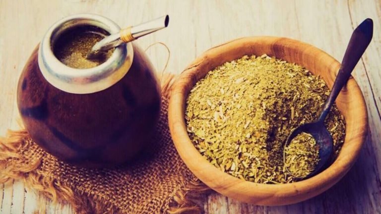 Scoprite I numerosi benefici della yerba mate