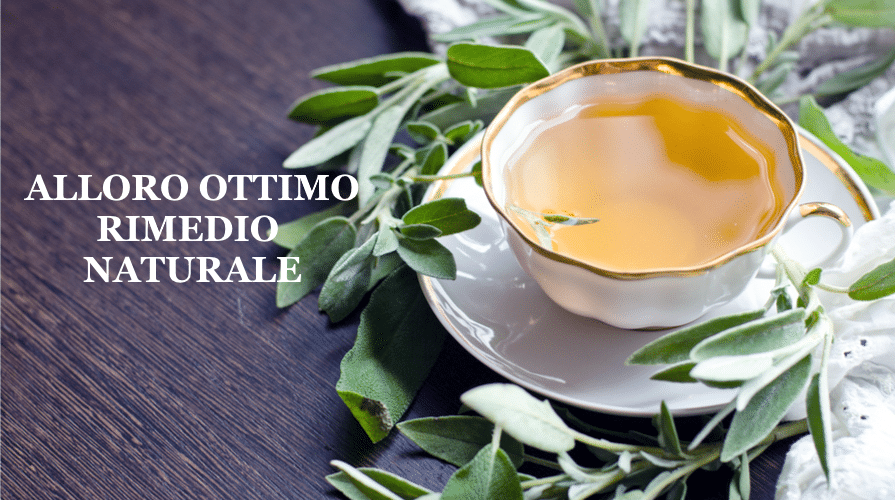 Conosci la tisana alloro e zenzero