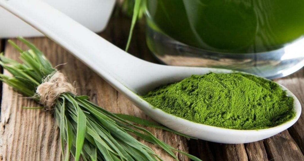 Che cos'è la spirulina