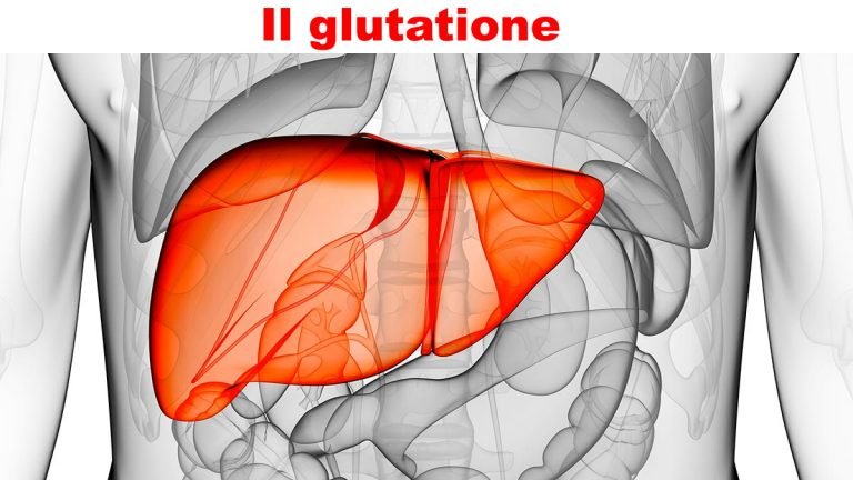 Scopri il glutatione perossidasi