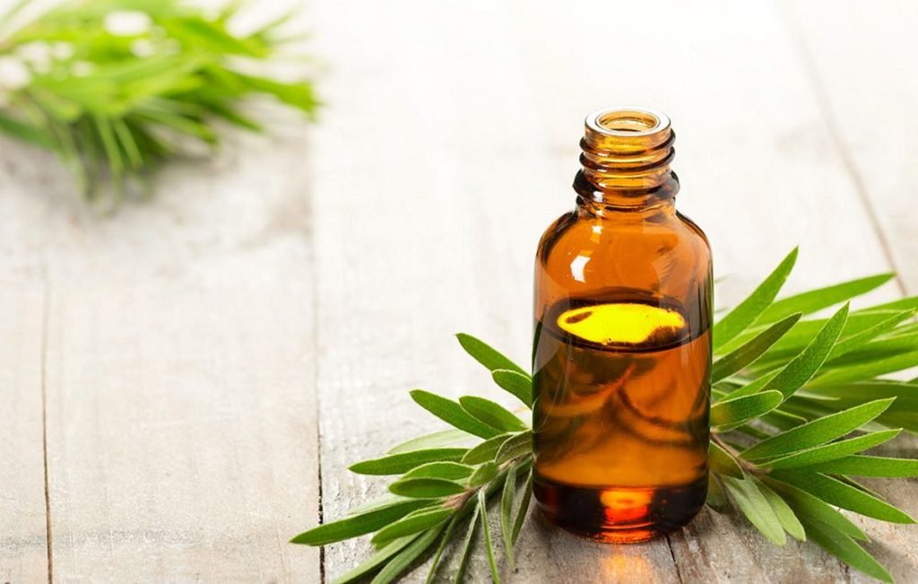 acne rimedi naturali, olio dell'alber del te
